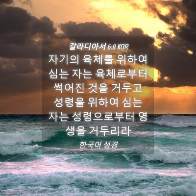 Picture 04 - 갈라디아서 6:8 KOR - 자기의 육체를 위하여 심는 자는 - Bible Verse Picture