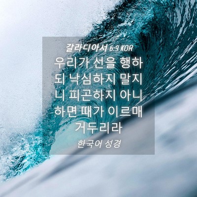 Picture 04 - 갈라디아서 6:9 KOR - 우리가 선을 행하되 낙심하지 말지니 - Bible Verse Picture