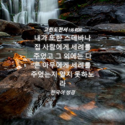 Picture 04 - 고린도전서 1:16 KOR - 내가 또한 스데바나 집 사람에게 - Bible Verse Picture