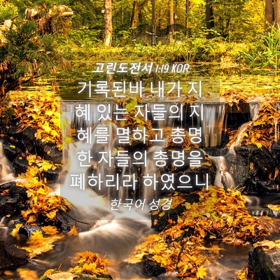 Picture 04 - 고린도전서 1:19 KOR - 기록된바 내가 지혜 있는 자들의 - Bible Verse Picture