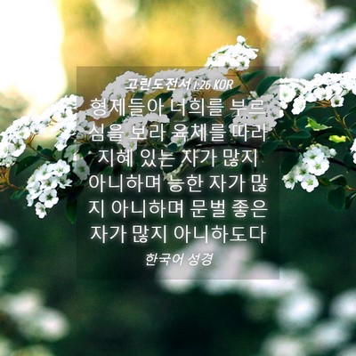 Picture 04 - 고린도전서 1:26 KOR - 형제들아 너희를 부르심을 보라 - Bible Verse Picture
