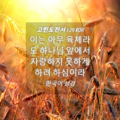 Picture 04 - 고린도전서 1:29 KOR - 이는 아무 육체라도 하나님 앞에서 - Bible Verse Picture