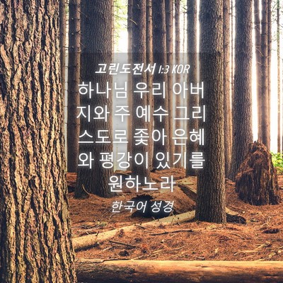 Picture 04 - 고린도전서 1:3 KOR - 하나님 우리 아버지와 주 예수 - Bible Verse Picture
