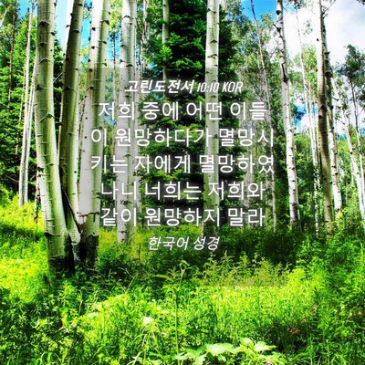 Picture 04 - 고린도전서 10:10 KOR - 저희 중에 어떤 이들이 원망하다가 - Bible Verse Picture