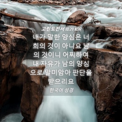Picture 04 - 고린도전서 10:29 KOR - 내가 말한 양심은 너희의 것이 - Bible Verse Picture