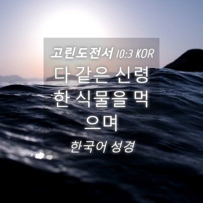 Picture 04 - 고린도전서 10:3 KOR - 다 같은 신령한 식물을 - Bible Verse Picture