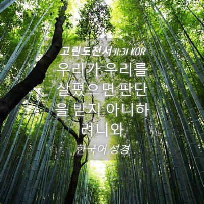 Picture 04 - 고린도전서 11:31 KOR - 우리가 우리를 살폈으면 판단을 받지 - Bible Verse Picture