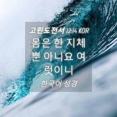 Picture 04 - 고린도전서 12:14 KOR - 몸은 한 지체뿐 아니요 - Bible Verse Picture