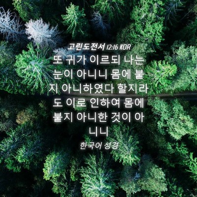Picture 04 - 고린도전서 12:16 KOR - 또 귀가 이르되 나는 눈이 아니니 - Bible Verse Picture