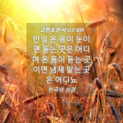 Picture 04 - 고린도전서 12:17 KOR - 만일 온 몸이 눈이면 듣는 곳은 - Bible Verse Picture