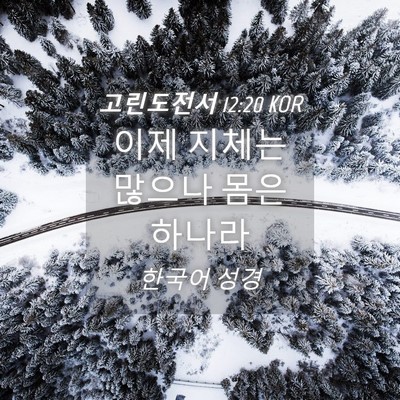 Picture 04 - 고린도전서 12:20 KOR - 이제 지체는 많으나 몸은 - Bible Verse Picture