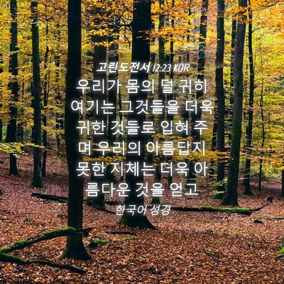 Picture 04 - 고린도전서 12:23 KOR - 우리가 몸의 덜 귀히 여기는 - Bible Verse Picture