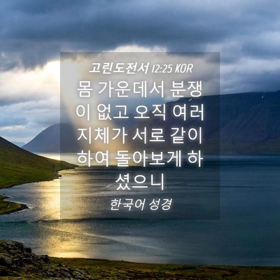 Picture 04 - 고린도전서 12:25 KOR - 몸 가운데서 분쟁이 없고 오직 여러 - Bible Verse Picture