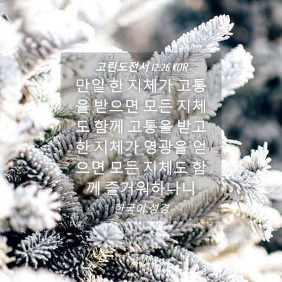 Picture 04 - 고린도전서 12:26 KOR - 만일 한 지체가 고통을 받으면 모든 - Bible Verse Picture