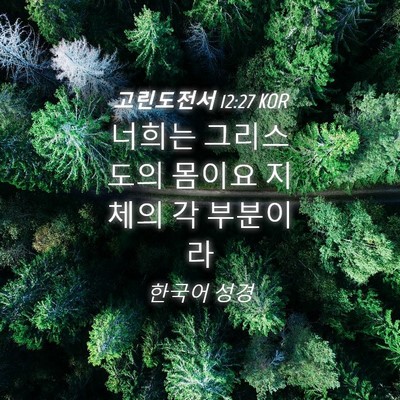 Picture 04 - 고린도전서 12:27 KOR - 너희는 그리스도의 몸이요 지체의 각 - Bible Verse Picture