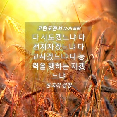 Picture 04 - 고린도전서 12:29 KOR - 다 사도겠느냐 다 선지자겠느냐 다 - Bible Verse Picture