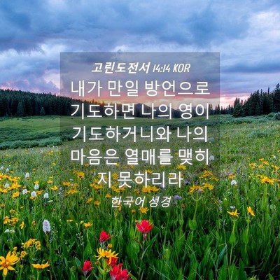 Picture 04 - 고린도전서 14:14 KOR - 내가 만일 방언으로 기도하면 나의 - Bible Verse Picture