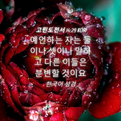 Picture 04 - 고린도전서 14:29 KOR - 예언하는 자는 둘이나 셋이나 말하고 - Bible Verse Picture