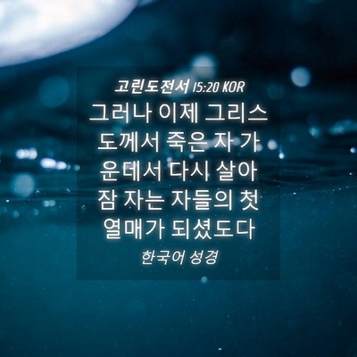 Picture 04 - 고린도전서 15:20 KOR - 그러나 이제 그리스도께서 죽은 자 - Bible Verse Picture