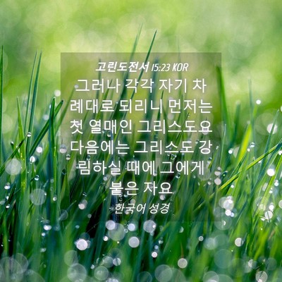 Picture 04 - 고린도전서 15:23 KOR - 그러나 각각 자기 차례대로 되리니 - Bible Verse Picture