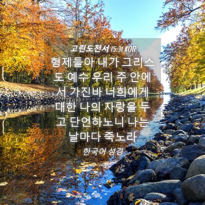 Picture 04 - 고린도전서 15:31 KOR - 형제들아 내가 그리스도 예수 우리 - Bible Verse Picture