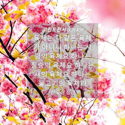 Picture 04 - 고린도전서 15:39 KOR - 육체는 다 같은 육체가 아니니 - Bible Verse Picture