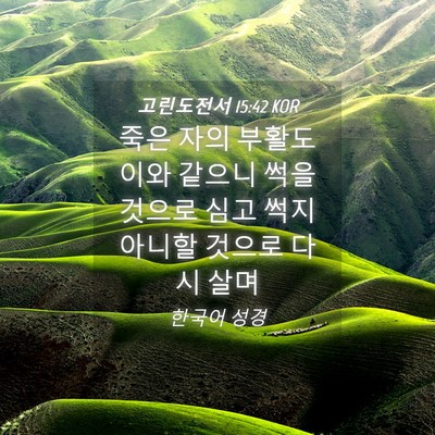 Picture 04 - 고린도전서 15:42 KOR - 죽은 자의 부활도 이와 같으니 썩을 - Bible Verse Picture