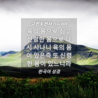 Picture 04 - 고린도전서 15:44 KOR - 육의 몸으로 심고 신령한 몸으로 - Bible Verse Picture