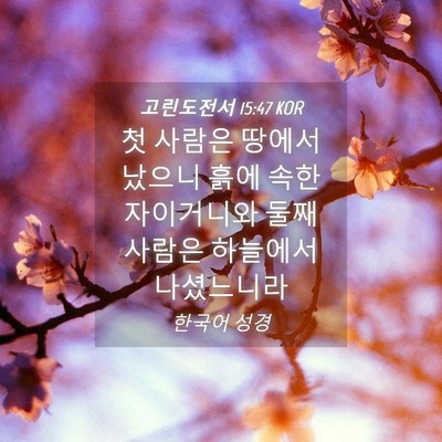 Picture 04 - 고린도전서 15:47 KOR - 첫 사람은 땅에서 났으니 흙에 속한 - Bible Verse Picture
