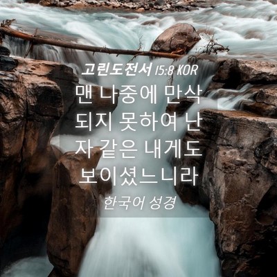 Picture 04 - 고린도전서 15:8 KOR - 맨 나중에 만삭되지 못하여 난자 - Bible Verse Picture