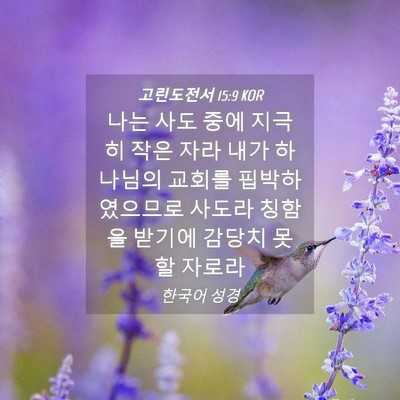 Picture 04 - 고린도전서 15:9 KOR - 나는 사도 중에 지극히 작은 자라 - Bible Verse Picture