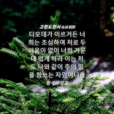 Picture 04 - 고린도전서 16:10 KOR - 디모데가 이르거든 너희는 조심하여 - Bible Verse Picture