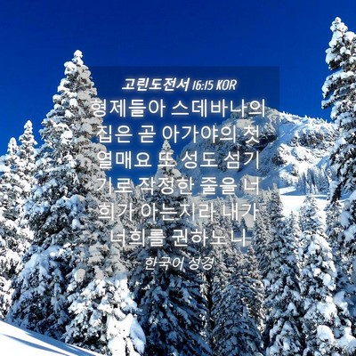 Picture 04 - 고린도전서 16:15 KOR - 형제들아 스데바나의 집은 곧 - Bible Verse Picture