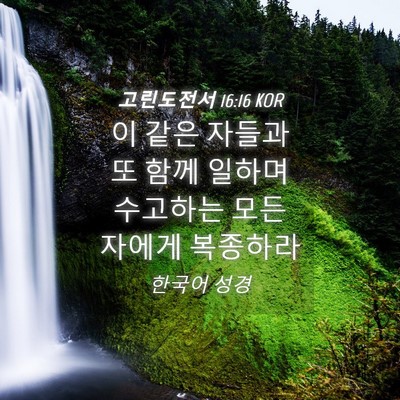 Picture 04 - 고린도전서 16:16 KOR - 이 같은 자들과 또 함께 일하며 - Bible Verse Picture