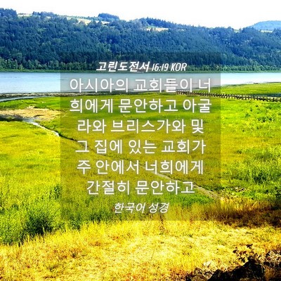 Picture 04 - 고린도전서 16:19 KOR - 아시아의 교회들이 너희에게 - Bible Verse Picture