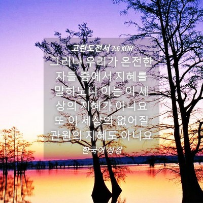 Picture 04 - 고린도전서 2:6 KOR - 그러나 우리가 온전한 자들 중에서 - Bible Verse Picture