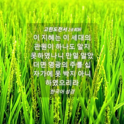 Picture 04 - 고린도전서 2:8 KOR - 이 지혜는 이 세대의 관원이 하나도 - Bible Verse Picture