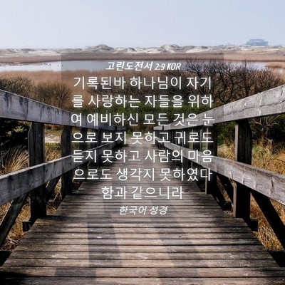 Picture 04 - 고린도전서 2:9 KOR - 기록된바 하나님이 자기를 사랑하는 - Bible Verse Picture