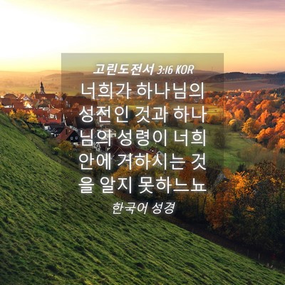 Picture 04 - 고린도전서 3:16 KOR - 너희가 하나님의 성전인 것과 - Bible Verse Picture