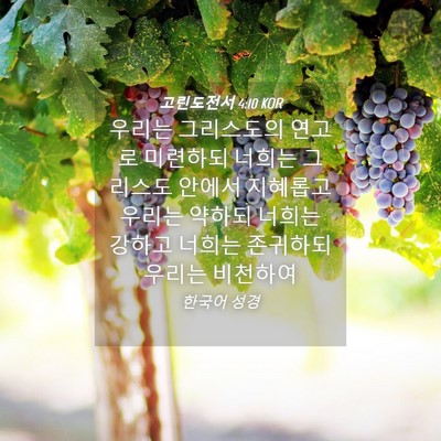 Picture 04 - 고린도전서 4:10 KOR - 우리는 그리스도의 연고로 미련하되 - Bible Verse Picture