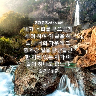 Picture 04 - 고린도전서 6:5 KOR - 내가 너희를 부끄럽게 하려 하여 이 - Bible Verse Picture