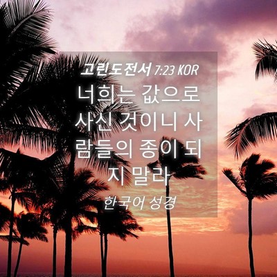 Picture 04 - 고린도전서 7:23 KOR - 너희는 값으로 사신 것이니 사람들의 - Bible Verse Picture