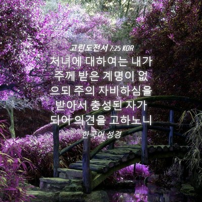 Picture 04 - 고린도전서 7:25 KOR - 처녀에 대하여는 내가 주께 받은 - Bible Verse Picture