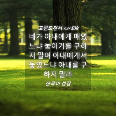 Picture 04 - 고린도전서 7:27 KOR - 네가 아내에게 매였느냐 놓이기를 - Bible Verse Picture