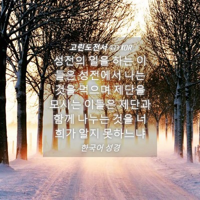 Picture 04 - 고린도전서 9:13 KOR - 성전의 일을 하는 이들은 성전에서 - Bible Verse Picture