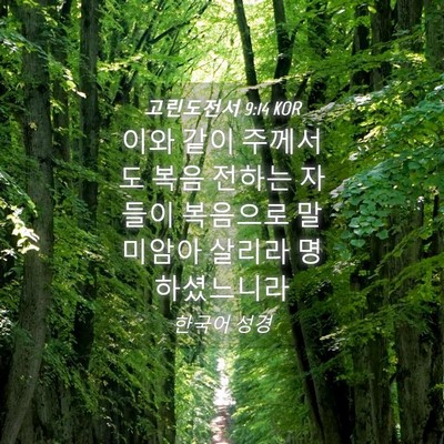 Picture 04 - 고린도전서 9:14 KOR - 이와 같이 주께서도 복음 전하는 - Bible Verse Picture