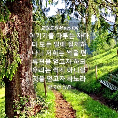 Picture 04 - 고린도전서 9:25 KOR - 이기기를 다투는 자마다 모든 일에 - Bible Verse Picture