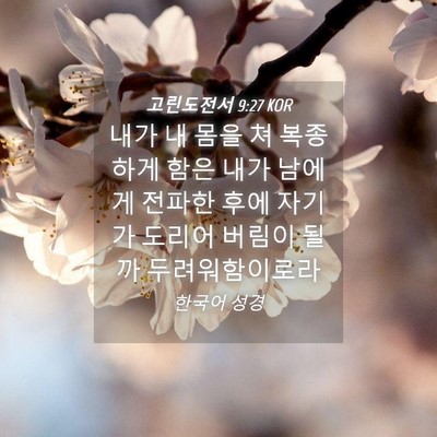 Picture 04 - 고린도전서 9:27 KOR - 내가 내 몸을 쳐 복종하게 함은 내가 - Bible Verse Picture