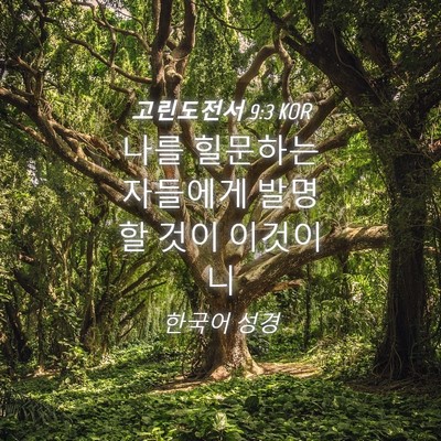 Picture 04 - 고린도전서 9:3 KOR - 나를 힐문하는 자들에게 발명할 것이 - Bible Verse Picture