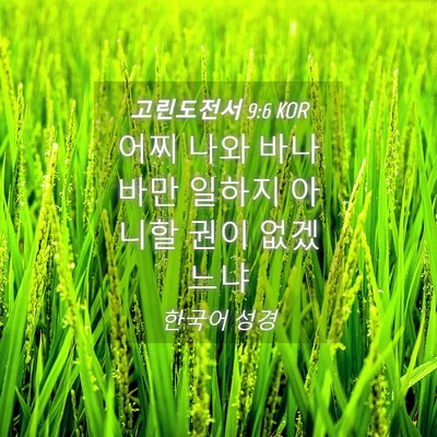 Picture 04 - 고린도전서 9:6 KOR - 어찌 나와 바나바만 일하지 아니할 - Bible Verse Picture
